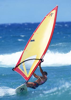 快適さと耐久性を兼ね備えた乗馬手袋の選び方とおすすめブランドガイド